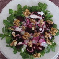 Motovilec s svežo rdečo peso, kozjim jogurtom in rahlo praženimi orehi