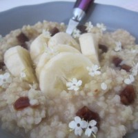 Sladka prosena kaša z bananami, brusnicami in bezgom