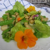 Solatni krožnik z mladim krompirjem in sladkim grahom