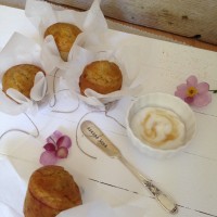 Medeni kokosovo vanilijevi kolački