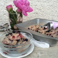 Borovničev sladoled brez laktoze (in s prav posebno sestavino)