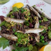 Testenine s sardelcami in pistacijevim pestom