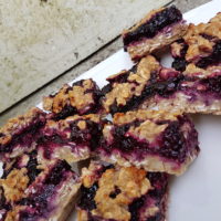 Ovseni kvadratki s črnim ribezom