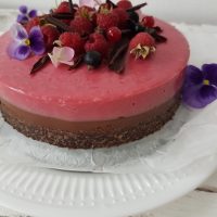 Sanjska čokoladno malinina strnjenka