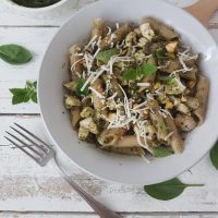 Testenine s pestom in nežnim piščancem