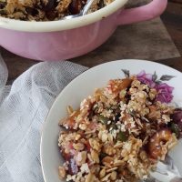 Zdrav slivov drobljenec