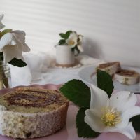 Rulada iz mletih bučnic s čokoladno avokadovo kremo