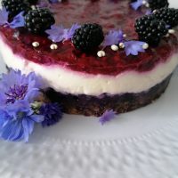 Sirčkova torta z gozdnimi sadeži